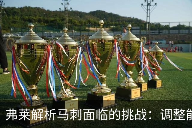 弗莱解析马刺面临的挑战：调整能力与年轻球员的牺牲精神